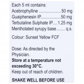 Buy Broclear S Syrup 100 ml Online | Uses, Price & Side Effects ...