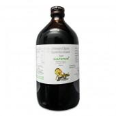 Diapepsin Liq 450 ml